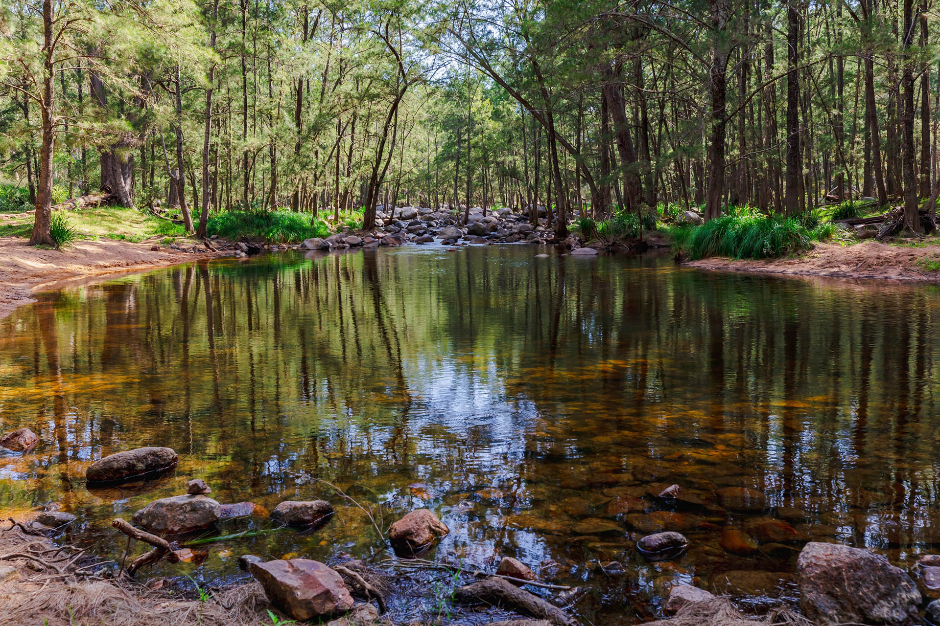 Coxs Creek Campground